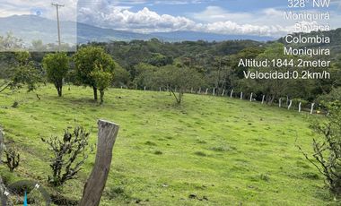 SE VENDE FINCA O LOTES  VEREDA SAN CRISTOBAL MONIQUIRA-BOYACA