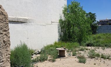 Terreno en venta, calle Alejandro Humboldt, Saltillo.