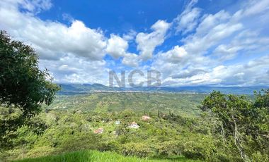 TERRENO/LOTE EN VENTA SECTOR SILVANIA CUNDINAMARCA