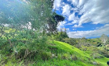TERRENO/LOTE EN VENTA SECTOR SILVANIA CUNDINAMARCA
