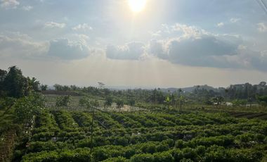 Villa 350 Juta Kawasan Wisata Kemuning Karanganyar