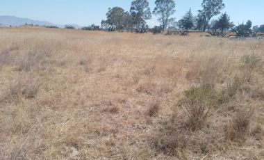 TERRENO EN VENTA EN TULANCINGO HIDALGO