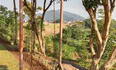 Villa Cantik Luas 2281m2 Margaluyu Tanjung Sari Sumedang