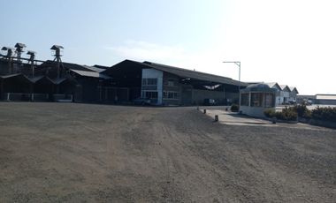 Bodega de alquiler en la Vía Durán-Boliche, Compejo de Bodegas, 350 m2.