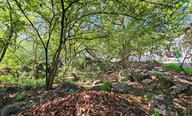 LAS CAÑADAS TERRENO EN VENTA EN ESQUINA EN ZONA BOSCOSA