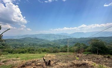 Venta Terreno 1.1Ha En Lamas, Los Uvos, La Loma - San Martín