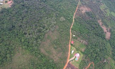Venta Terreno 1.1Ha En Lamas, Los Uvos, La Loma - San Martín
