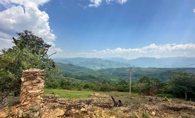 Venta Terreno 1.1Ha En Lamas, Los Uvos, La Loma - San Martín