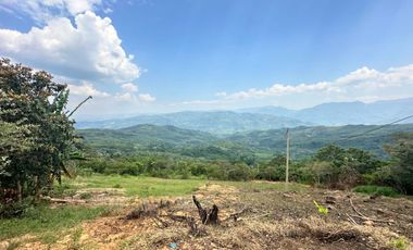Venta Terreno 1.1Ha En Lamas, Los Uvos, La Loma - San Martín
