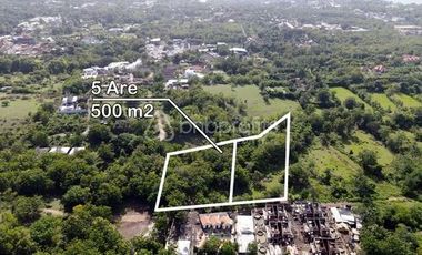 High Return Investment: Prime Bali Leasehold 500 sqm Land in Sought-After Bingin