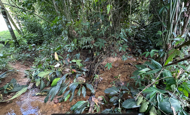 lote entre restrepo y cumaral, caney medio
