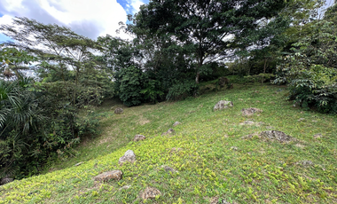 lote entre restrepo y cumaral, caney medio