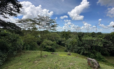 lote entre restrepo y cumaral, caney medio
