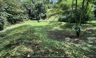lote entre restrepo y cumaral, caney medio
