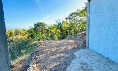 OCEANVIEW HOUSE AND LOT FOR SALE SIQ0139