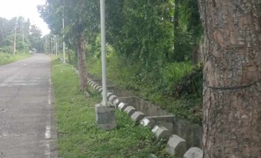 FOR SALE COMMERCIAL AND FARM LOT