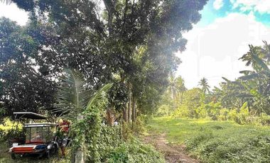 FOR SALE COMMERCIAL AND FARM LOT