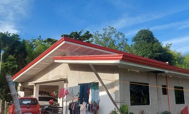 HOUSE AND LOT FOR SALE IN DUMAGUETE ID 14904