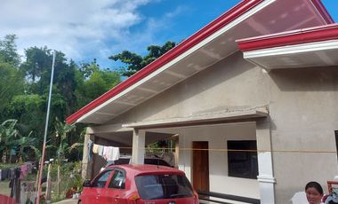 HOUSE AND LOT FOR SALE IN DUMAGUETE ID 14904