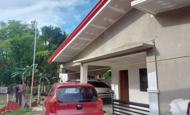 HOUSE AND LOT FOR SALE IN DUMAGUETE ID 14904