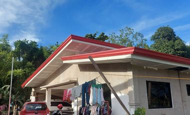 HOUSE AND LOT FOR SALE IN DUMAGUETE ID 14904