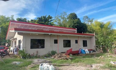 HOUSE AND LOT FOR SALE IN DUMAGUETE ID 14904