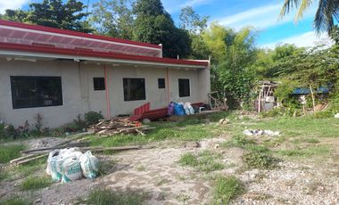 HOUSE AND LOT FOR SALE IN DUMAGUETE ID 14904