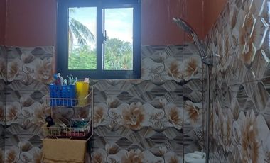 HOUSE AND LOT FOR SALE IN DUMAGUETE ID 14904