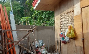 HOUSE AND LOT FOR SALE IN DUMAGUETE ID 14904