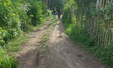 HOUSE AND LOT FOR SALE IN DUMAGUETE ID 14904