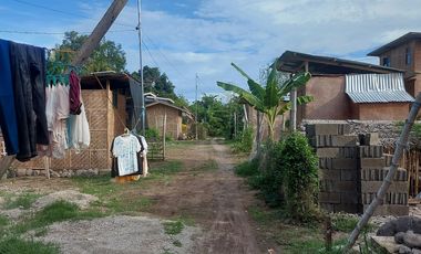 HOUSE AND LOT FOR SALE IN DUMAGUETE ID 14904