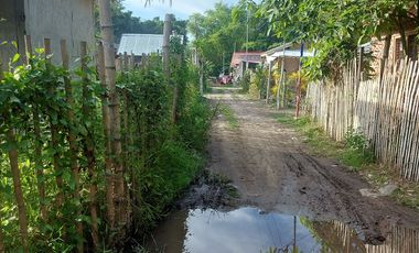 HOUSE AND LOT FOR SALE IN DUMAGUETE ID 14904