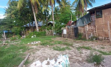 HOUSE AND LOT FOR SALE IN DUMAGUETE ID 14904