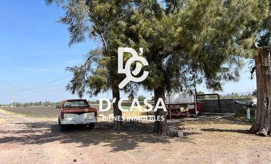 Se vende terreno en Rancho La Máquina, giro industrial y agrícola
