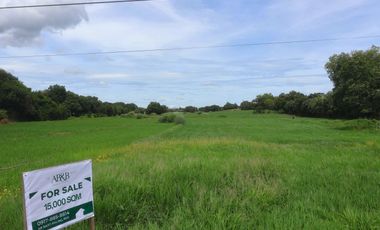 Farm Land For Sale in Villasis, Pangasinan