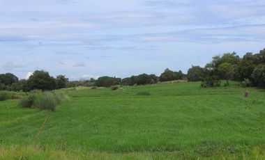 Farm Land For Sale in Villasis, Pangasinan
