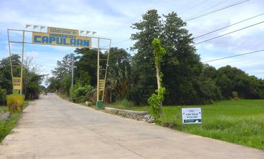 Farm Land For Sale in Villasis, Pangasinan