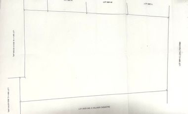 Farm Land For Sale in Villasis, Pangasinan