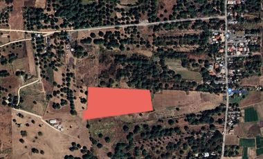 Farm Land For Sale in Villasis, Pangasinan