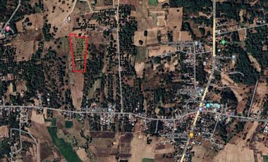 Farm Land For Sale in Villasis, Pangasinan