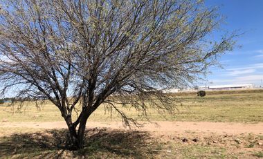VENTA TERRENO CAMPESTRE SAN CARLOS, AGUASCALIENTES