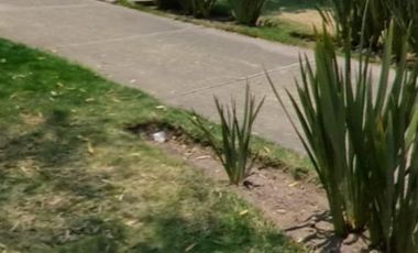 TERRENO EN VENTA VALLE IMPERIAL