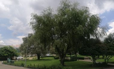 TERRENO EN VENTA VALLE IMPERIAL
