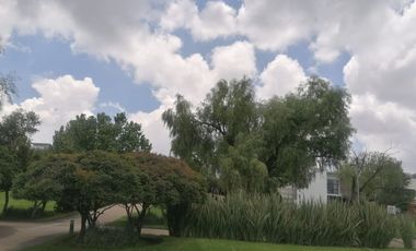 TERRENO EN VENTA VALLE IMPERIAL