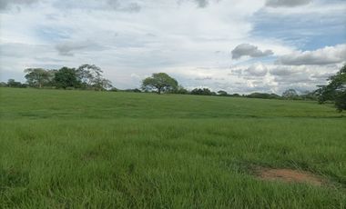Venta de Finca ganadera en Ayapel