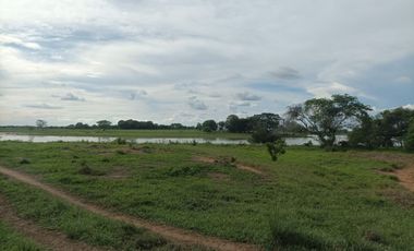 Venta de Finca ganadera en Ayapel