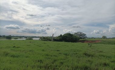 Venta de Finca ganadera en Ayapel