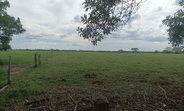 Venta de Finca ganadera en Ayapel