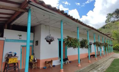 Venta de finca en el Peñol vereda el Salto