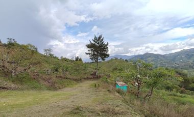 Venta de finca en el Peñol vereda el Salto